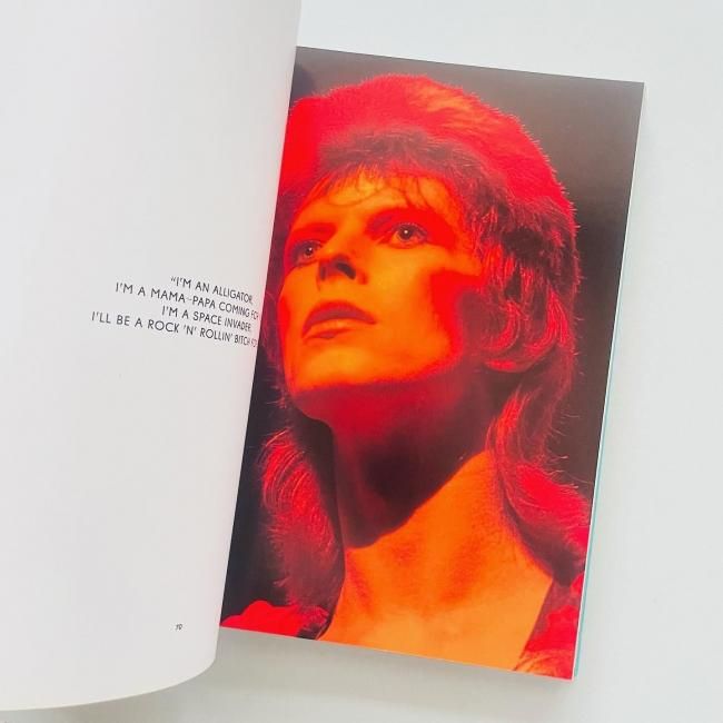 Limited edition〉The Rise of David Bowie 1972-1973 デヴィッド