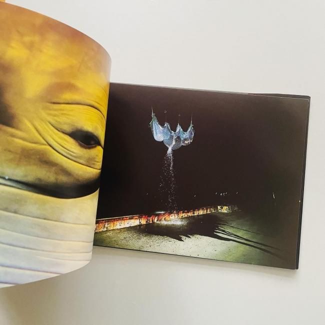 CANARY カナリア｜志賀理江子 LIEKO SHIGA