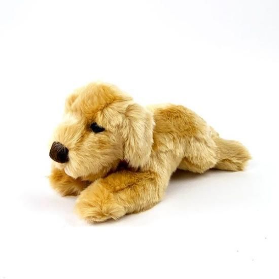 ぬいぐるみ S ゴールデンレトリバー 犬 動物