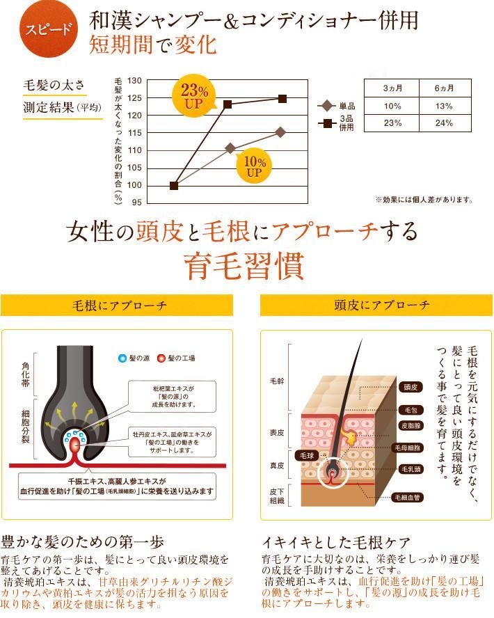 薬用和漢スカルプ ヘアケアセット - 山野愛子どろんこ美容 オンライン