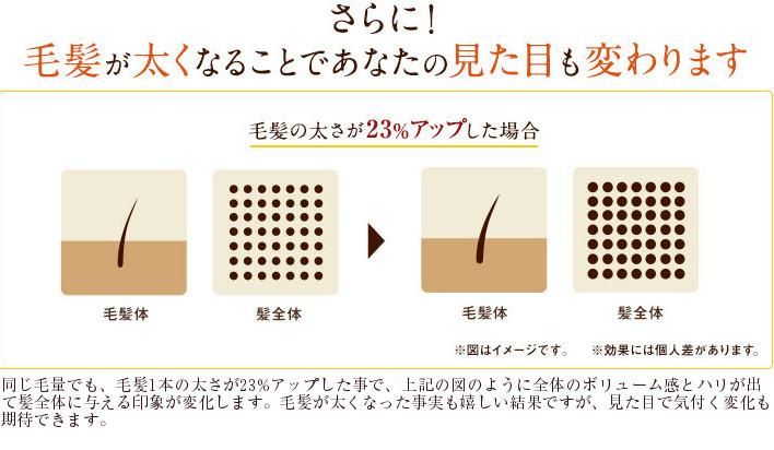 薬用和漢スカルプ ヘアケアセット - 山野愛子どろんこ美容 オンライン