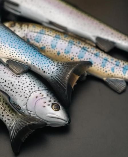 Nate's Baits/ Line Through Trout - Knoxville Online Shop