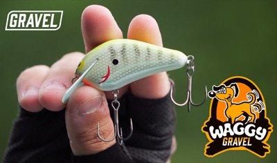 GRAVEL / WAGGY - Knoxville Online Shop