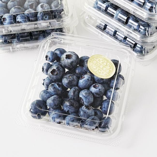 フレッシュブルーベリー お得パック（90g×6P） 【堀内果実園】