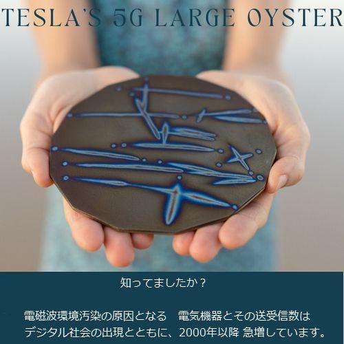テスラ オイスター・プレート 大 5G Large Oyster Plate - 元国際線CA