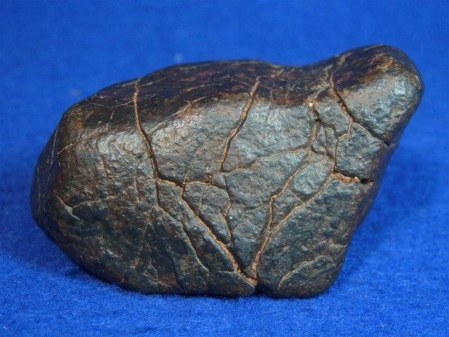 NWA 石質隕石 コンドライト 溶融被殻、完全体 - 水晶専門店 EXークリスタル