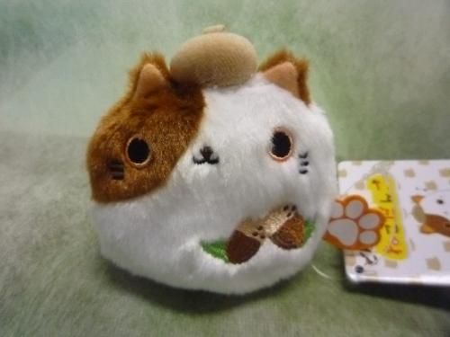 どんぐりねこだんご - テディベア専門店 ペンブローク