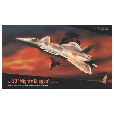 ドリームモデル】DM720010)1/72 J-20 威龍 中国 空軍ステルス戦闘機