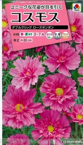 コスモス ダブルクリックローズボンボン - オガワのタネ オンライン