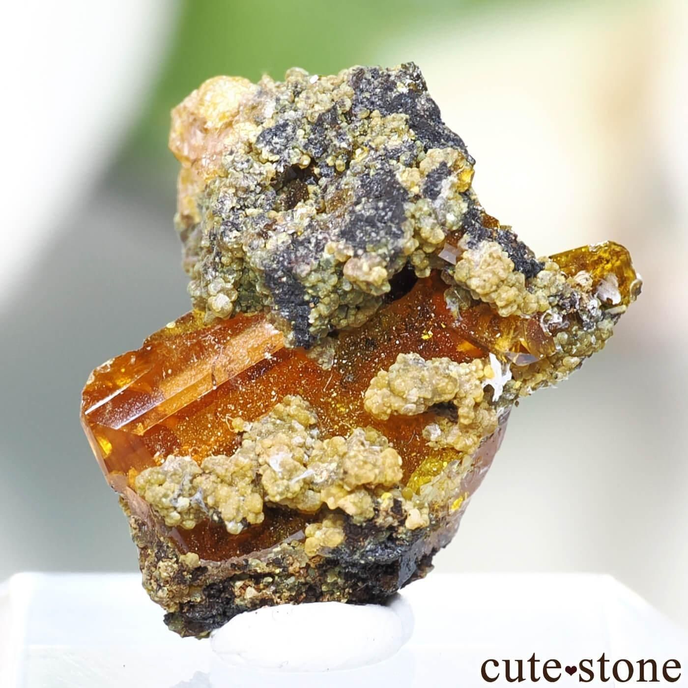 メキシコ Apex mine産 ウルフェナイトの原石 No.3 - cute stone -