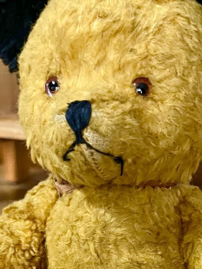 ヴィンテージ スーティーベア - アンティークとテディベアの店 Parade