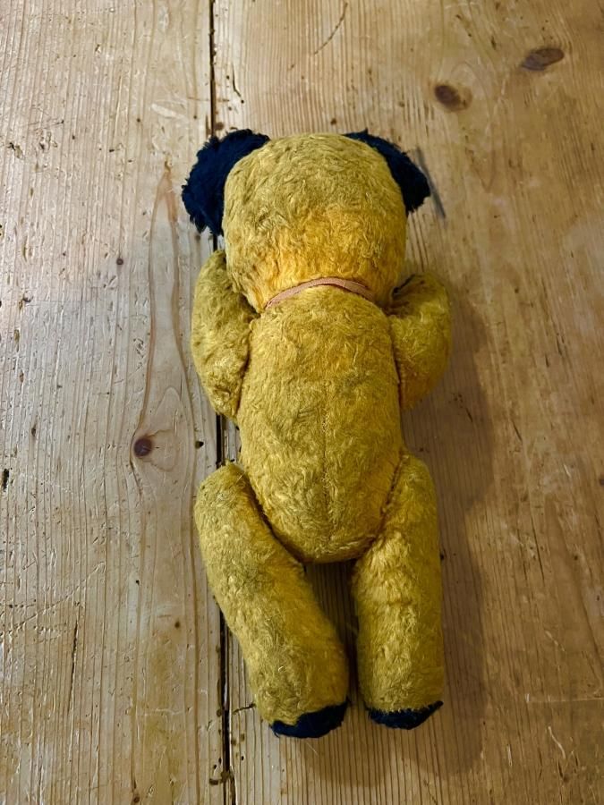 ヴィンテージ スーティーベア - アンティークとテディベアの店 Parade