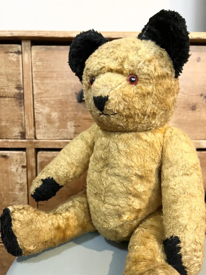 スーティー Sooty - アンティークとテディベアの店 Parade（パラード）