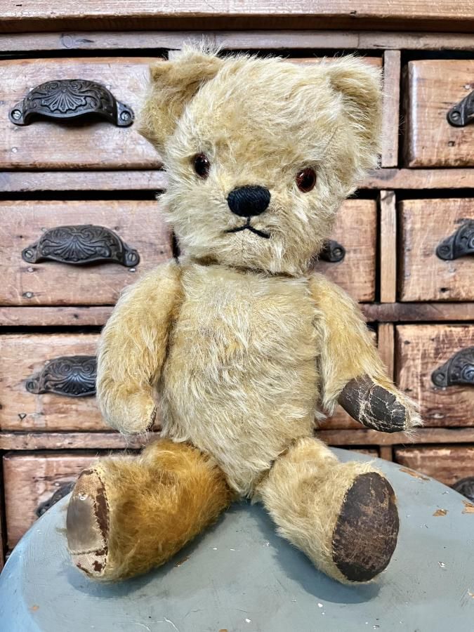 チャドヴァレー Chad Valley - アンティークとテディベアの店 Parade