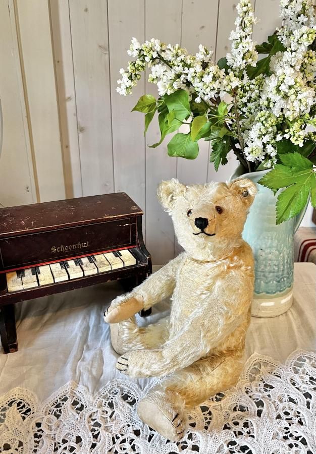 シュタイフ Steiff - アンティークとテディベアの店 Parade（パラード）