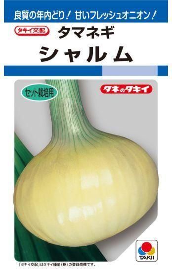 セットタマネギ／ホームタマネギ専用の種【シャルム】〔F1〕 - 種の
