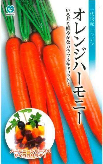 ニンジンの種【オレンジハーモニー】〔F1〕 - 種の専門店 松尾農園