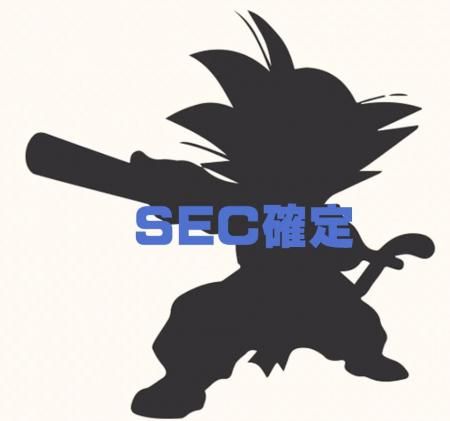キラ30枚)SEC確定 すべてSR以上ドラゴンボールヒーローズ SDBH オリパ
