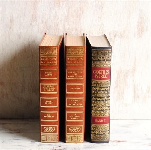 フランス語 ドイツ語 古書 3冊セット アンティークブック