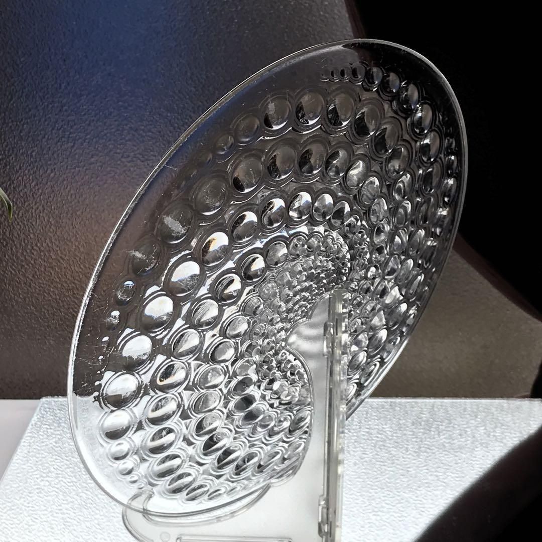 ラリック プレート ○ 直径21cm ヴィンテージ ラリック プレート