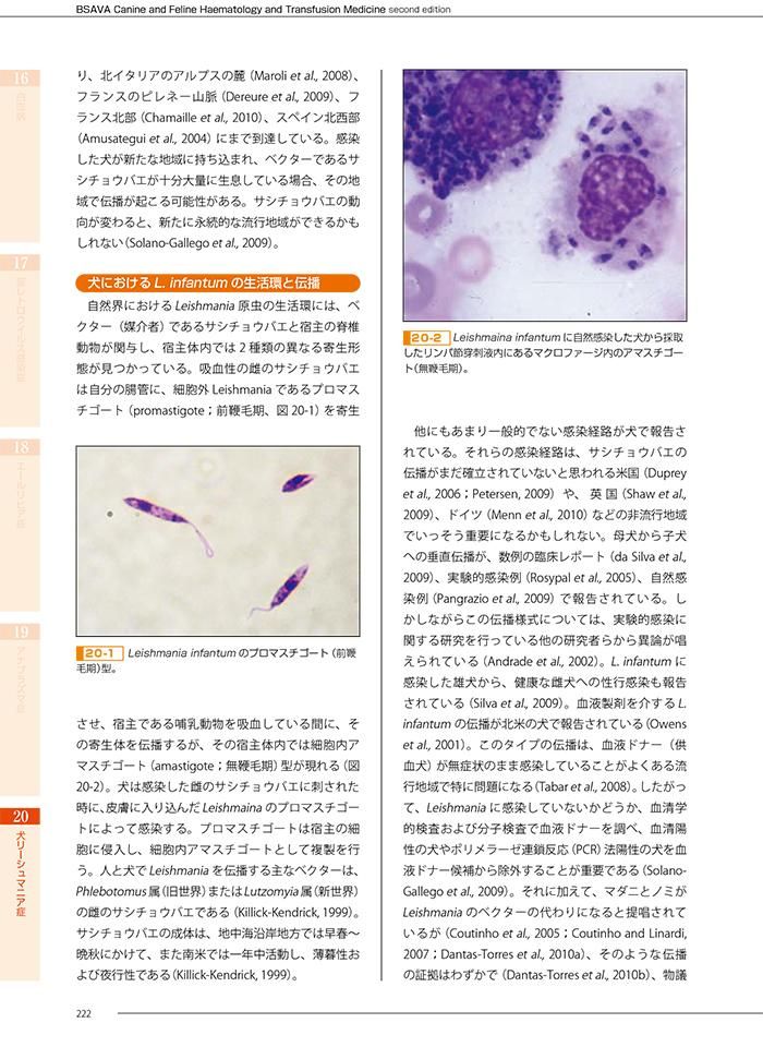 BSAVA 犬と猫の血液病学と輸血医療マニュアル－第2版－ - WAHA Online Shop