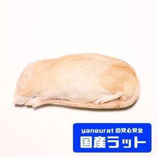 冷凍餌 - 【国産】冷凍ラット - yaneuratonline