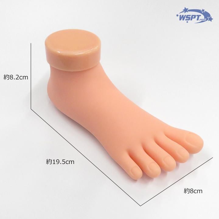 WAKA先生おすすめ！】 ネイル練習用フット プラクティスフット