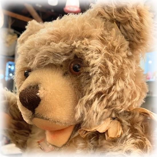 シュタイフ社 ＊ 1960〜'67年生まれのゾッティちゃん！！＊ 体長43cm