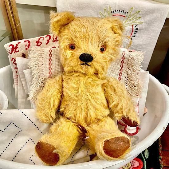 イギリス1950年代 ＊ ”チャド・ヴァレー社 ＊ Chad Valley” テディベア