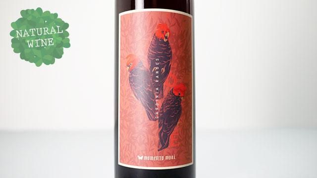 モリーネ ヴェネチア モリーネ ワイン MS-03-D カメイガラス モリーネ