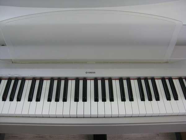YAMAHA P-60 【大阪店での受け渡し限定です】 - 中古楽器専門店マルカート