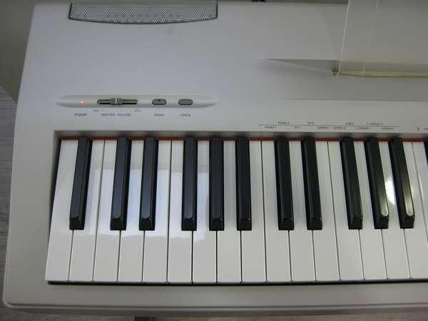 YAMAHA P-60 【大阪店での受け渡し限定です】 - 中古楽器専門店マルカート