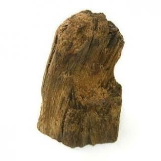 香木【沈香】-芳月苑