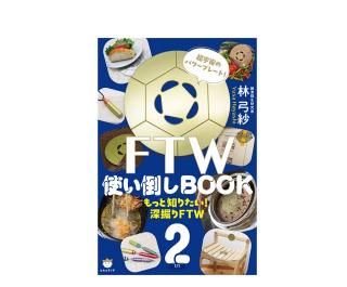FTW フォーグセット（フラットタイプ）フォーグ2枚、専用袋、マジック
