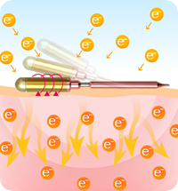 FTWフィオーラセット（美顔ローラー）ジェルミニ+クレンジング