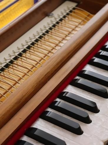 受注生産】ハルモニウム ミニクラシック 30鍵 [RAGA] / Harmonium mini