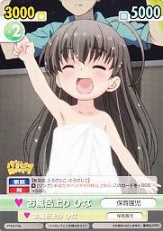 VS ヴィクトリースパーク - 【カードショップ アヴァロン】