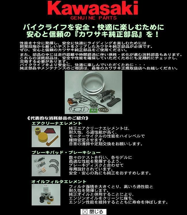 Kawasaki 2021 NINJA ZX-25R ZX250 EMFNN 整備解説書