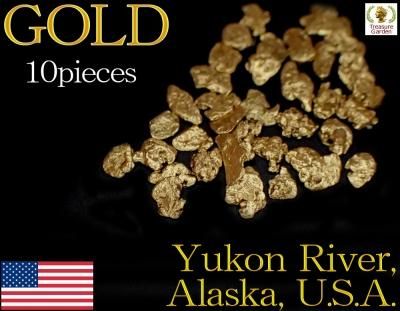 自然金 砂金] アメリカ アラスカ産 10粒セット 中サイズ