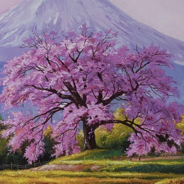 肉筆油彩画 一本桜と富士 ―三宝堂オンラインショップ