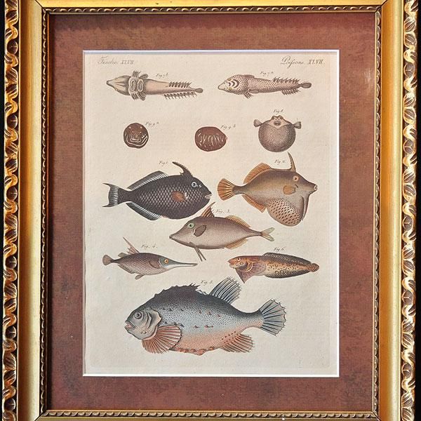 銅と銀の関節魚 ( 1940's )