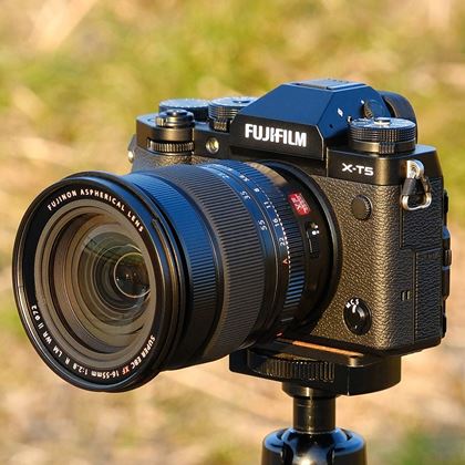 ソニー「E 11mm F1.8」で古刹や植物園をスナップ！ 近接撮影でも活躍