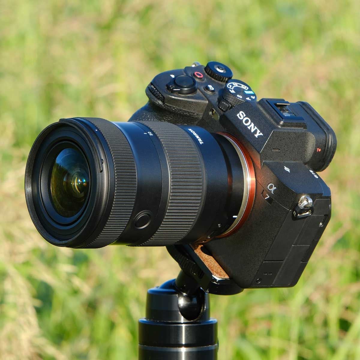 タムロン「17-50mm F/4 Di III VXD」レビュー！ 超広角17mmから標準