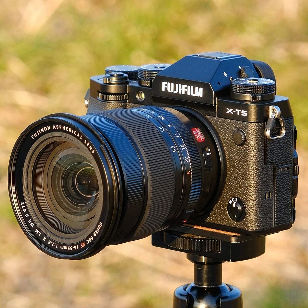 XF16-55mmF2.8 R LM WR II」レビュー！ 最高峰“レッドバッジ”新・標準