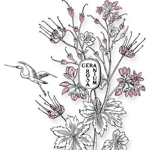 diptyque ゼラニウムローザ キュイル キャンドル Geranium Rosa