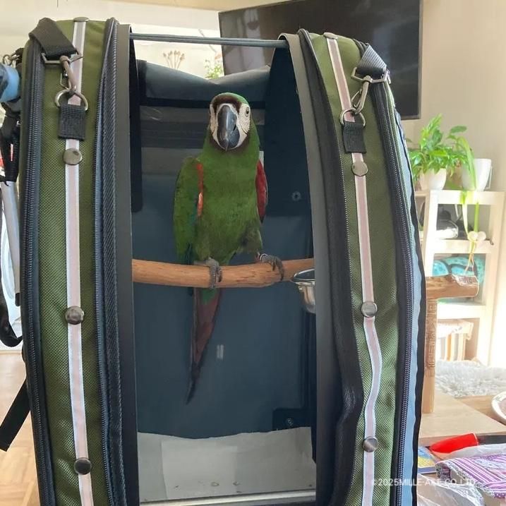 Pak-o-Bird | 愛鳥用バックパック - 鳥雑貨・鳥おもちゃの専門店【Bird