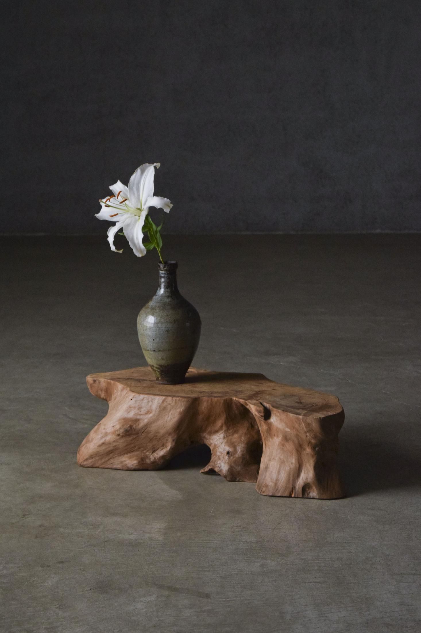 展示台 - pejite online shop