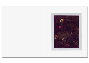 Collier Schorr: August