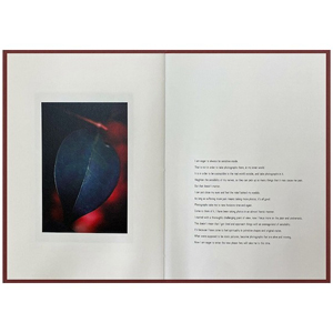 山上新平/ Shimpei Yamagami:Epiphany(サイン本）