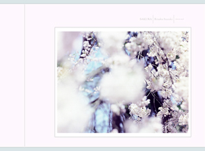 鈴木理策/ Risaku Suzuki: White + SAKURA (SAKURAプリント付き）